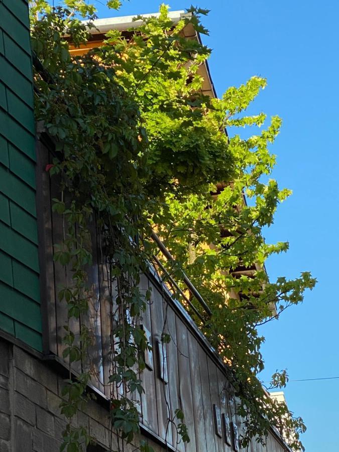 Hotel Zillners Einkehr *** Altheim Exteriör bild